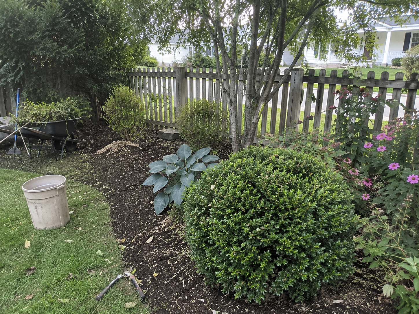 Garden Care & Bed Maintenance