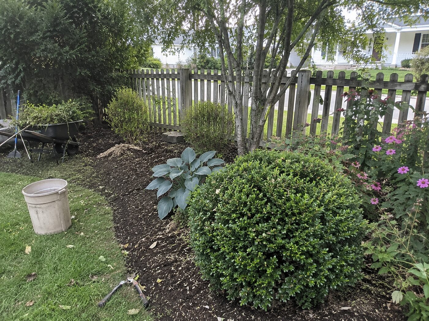 Garden Care & Bed Maintenance
