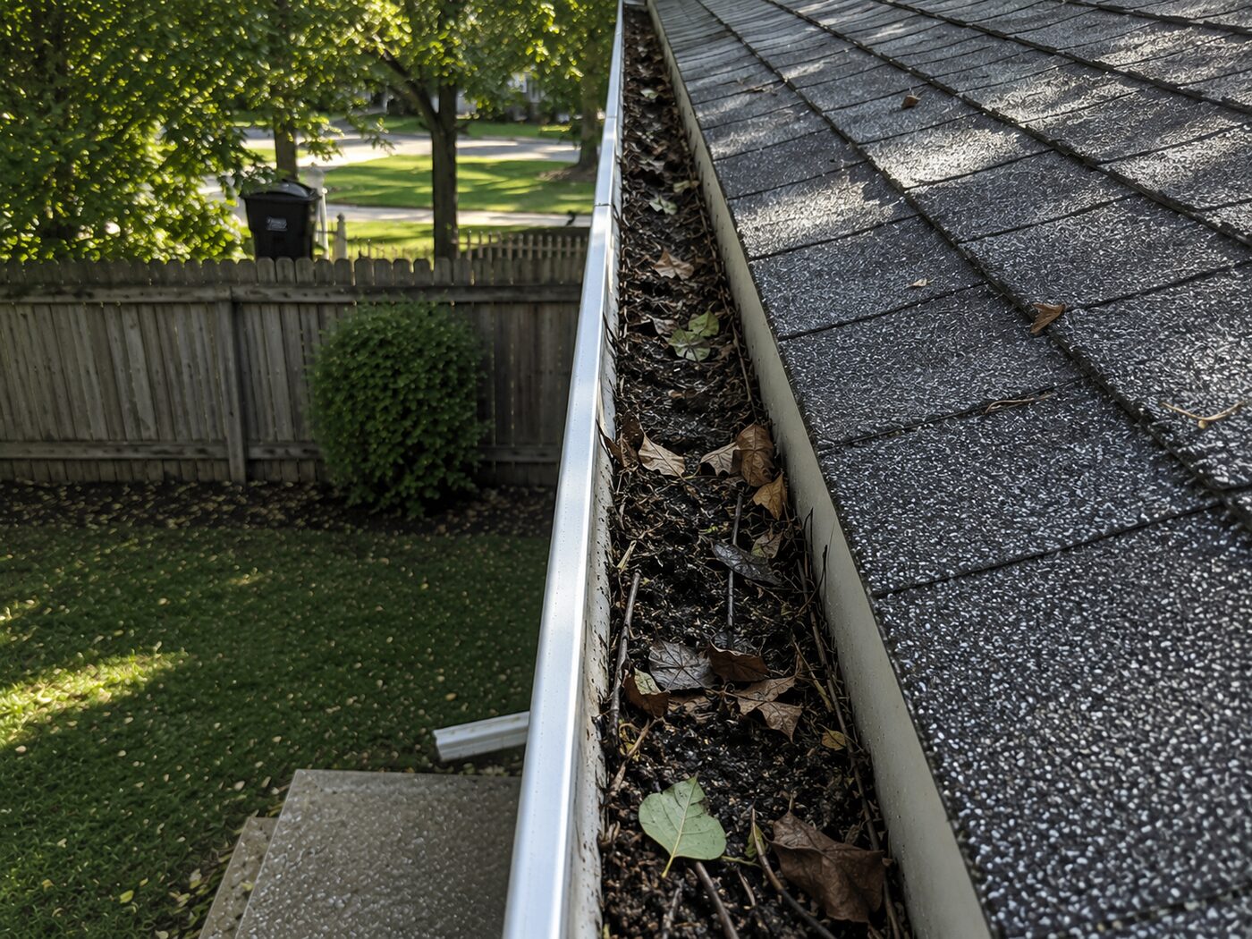 Gutter Cleaning