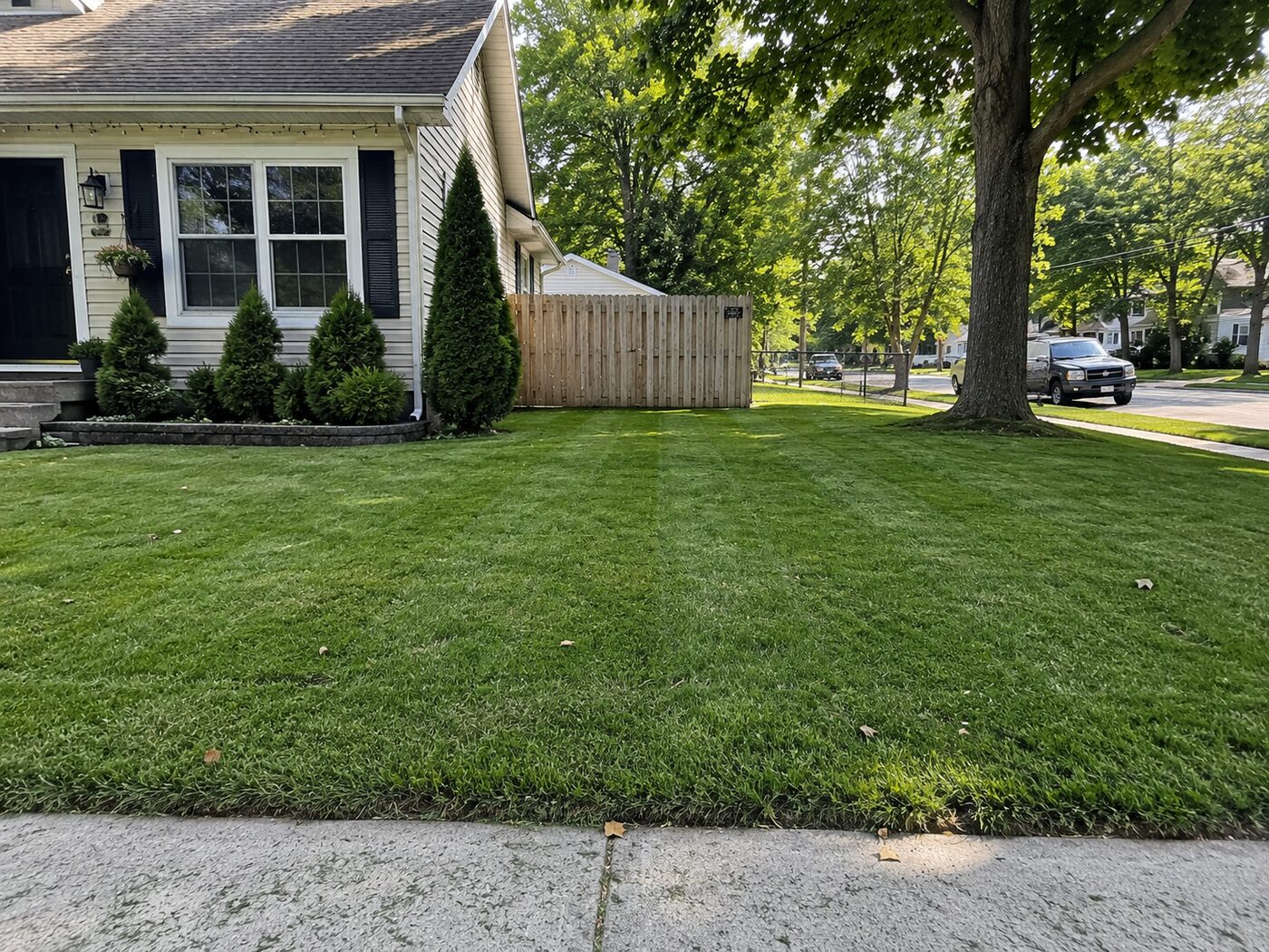 Lawn Cutting