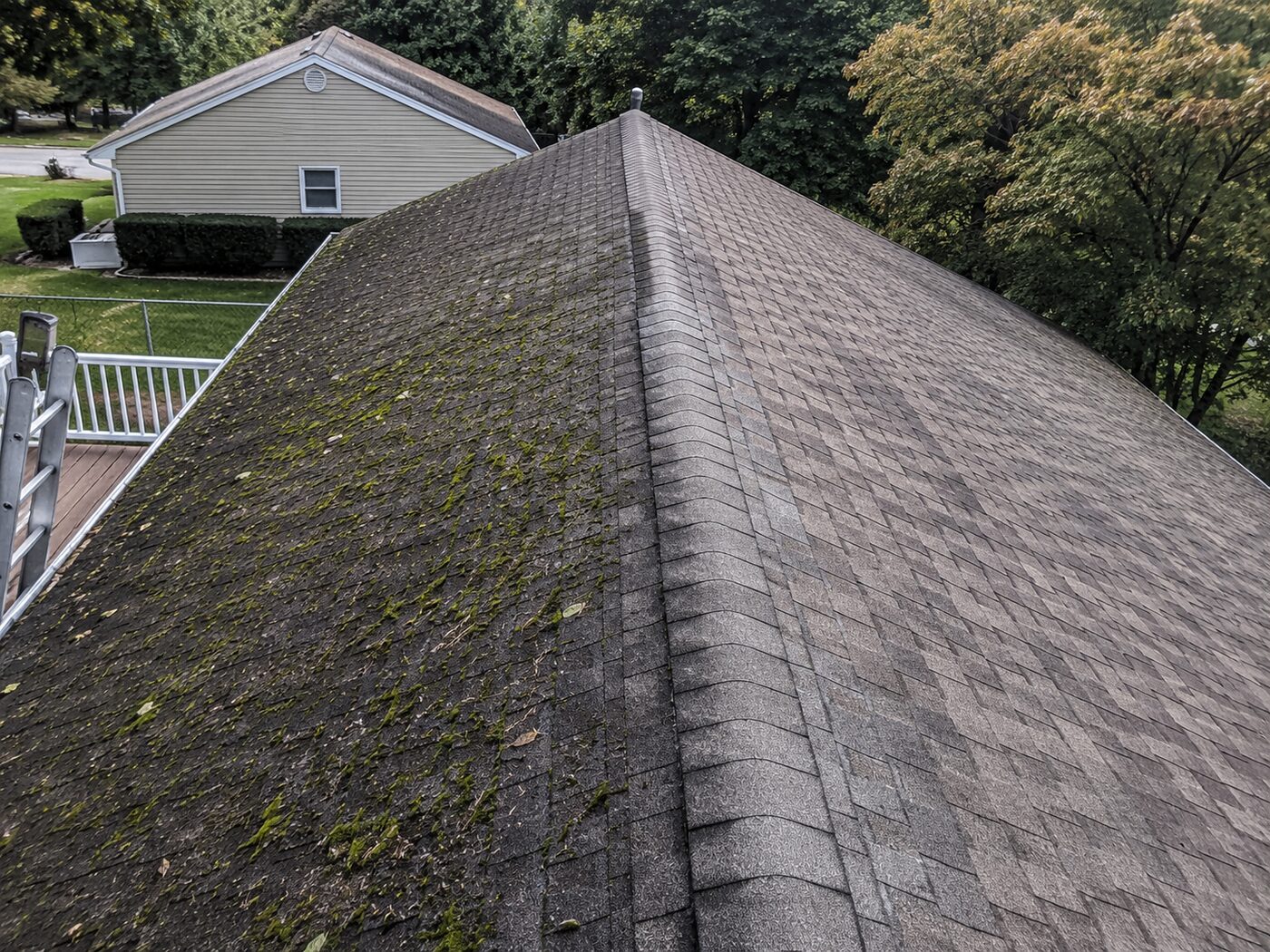 Roof Cleaning